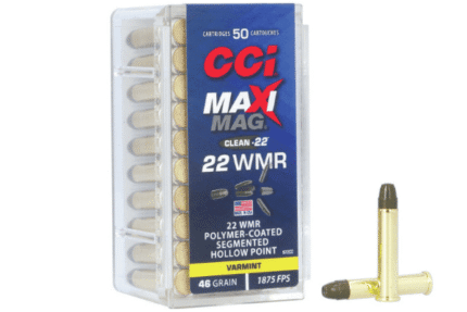 CCI Maxi-Mag Segmented HP 22 WMR