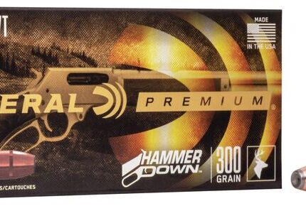 Federal Hammer Down 45-70 Gov 300gr BSP
