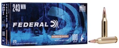 Federal Power Shok 243 WIN 100gr PSP