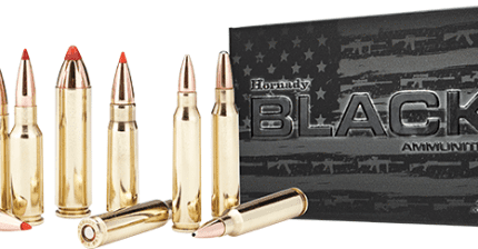 Hornady 300 BLACKOUT 110gr V-MAX