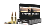 Nosler Trophy Grade 308 Win 165gr AccuBond