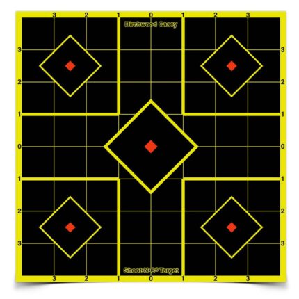Birchwood Casey Shoot N C 8in Target 6pk