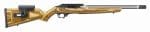 Ruger 10/22 Competition Rifle