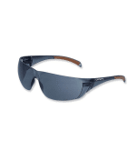 Carhartt Billings Saftey Glasses