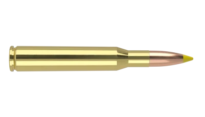 Nosler Ballistic Tip 270 Win 130gr BT