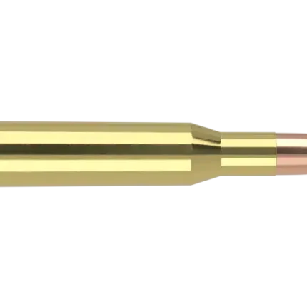 Nosler Ballistic Tip 270 Win 130gr BT