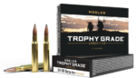 Nosler Trophy Grade 30-06 SPRG 165gr Partition