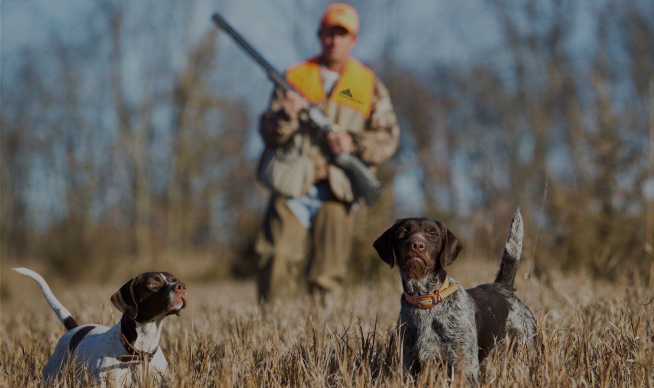 Deer and Duck Hunting