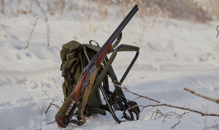 Guide to Moose Hunting in Ontario: Outfitters, Seasons,Tips