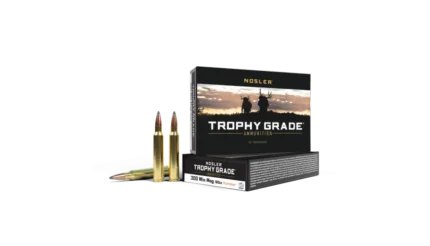 Nosler Trophy Grade 300WM 180gr Partition
