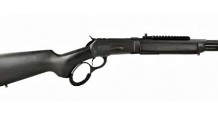 Chiappa 1886 TD Rifle NSR 12in Oct Barrel