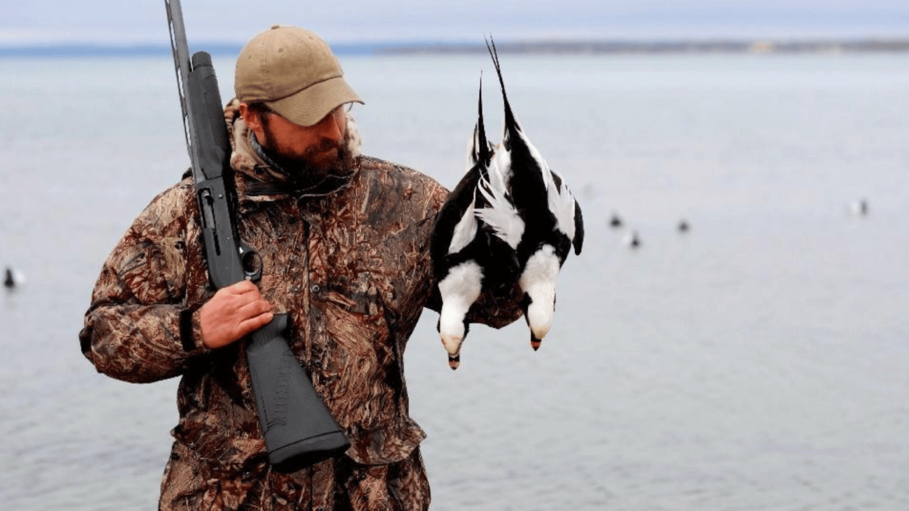 Duck Hunting Season