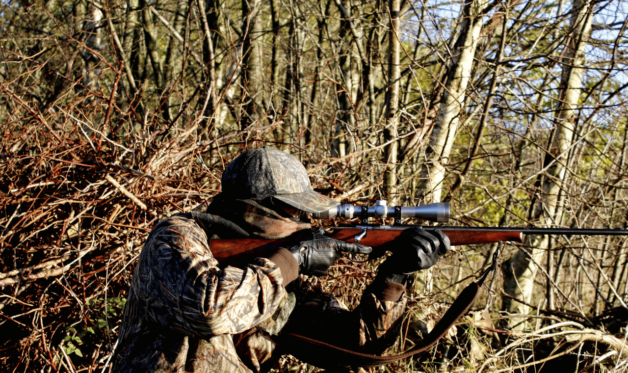 Perfect Rifle Scope For Hunting
