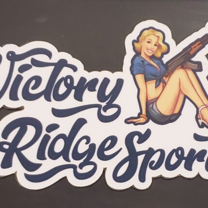 Pin Up Girl Sticker VRS Brand