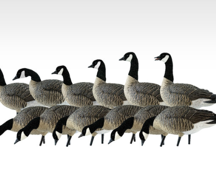 Avian-X AXP Lesser Goose Decoys Outfitters 12PK