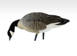 Avian-X AXP Lesser Goose Decoys Outfitters 12PK - Image 3