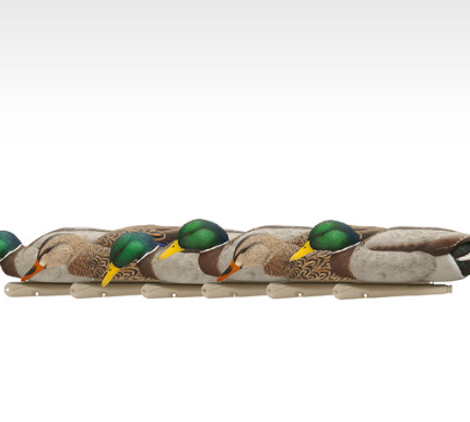 Avian-X Topflight Backwater Mallard Duck Decoys 6Pk