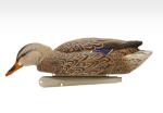 Avian-X Topflight Backwater Mallard Duck Decoys 6Pk - Image 3