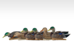 Avian-X Topflight Early Season Mallard Duck Decoys 6Pk