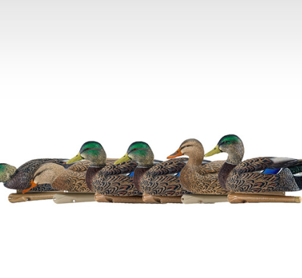 Avian-X Topflight Early Season Mallard Duck Decoys 6Pk