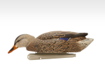 Avian-X Topflight Early Season Mallard Duck Decoys 6Pk - Image 4