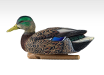 Avian-X Topflight Early Season Mallard Duck Decoys 6Pk - Image 3