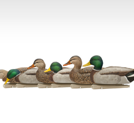 Avian-X Topflight Fusion Mallard Duck Decoys 6Pk