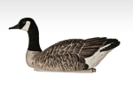 Avian-X Top Flight Honkers Goose Floating Decoys 4PK - Image 3