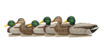 Avian-X Topflight Open Water Mallard Duck Decoys 6Pk