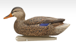 Avian-X Topflight Open Water Mallard Duck Decoys 6Pk - Image 2