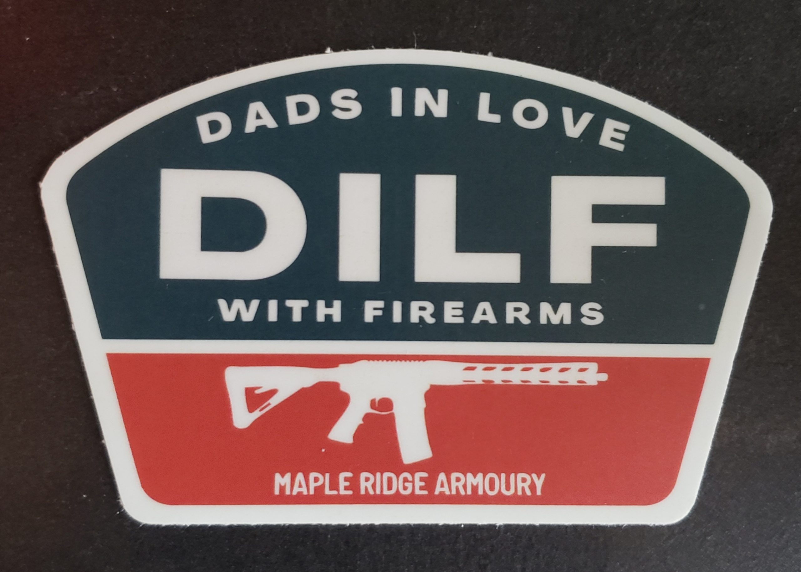 20251112_160348 DILF Sticker MRA Brand