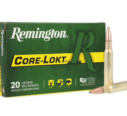 Remington Core-Lokt 30-06 Sprg 180gr PSP
