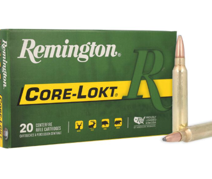 Remington Core-Lokt 300 WM 180gr PSP