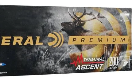 Federal Terminal Ascent 300 WSM 200gr