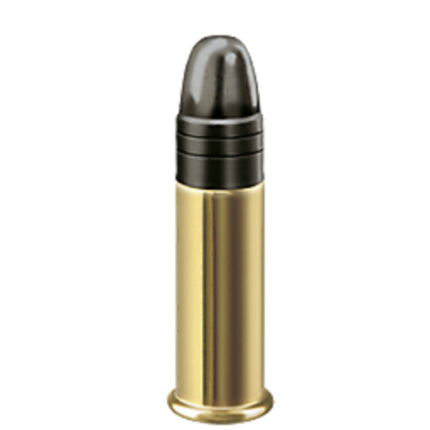 RWS Special Match 22lr 40gr LRN